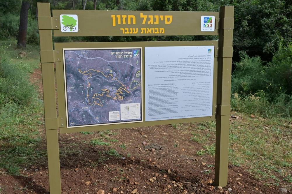 סינגל חזון